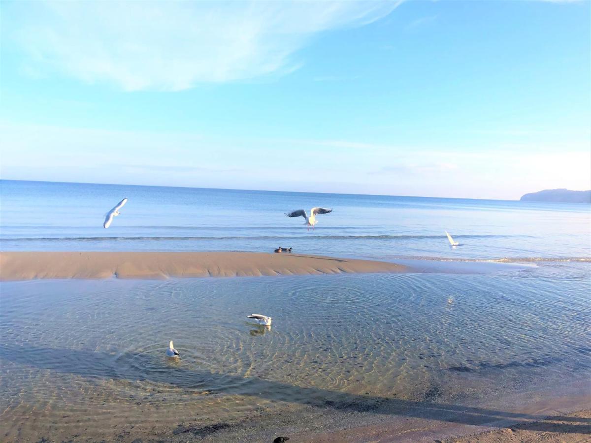 Jugendglueck - Gelbe Lilie Ostseebad Binz